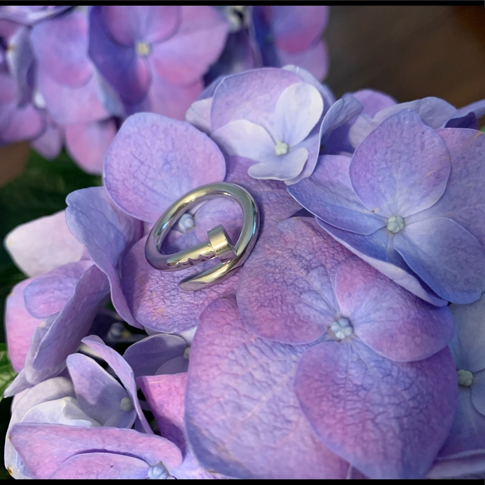 C ring without diamonds